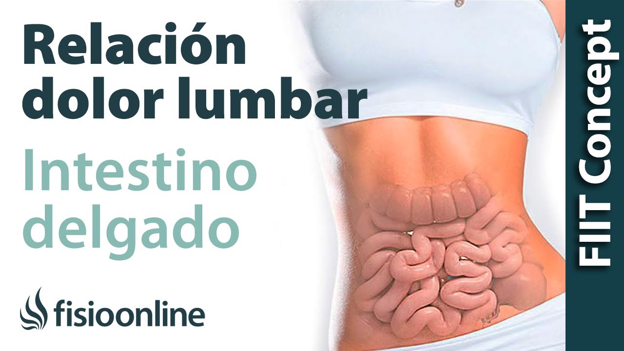 malas digestiones y dolor de espalda